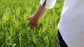 Spring barley fields and people.